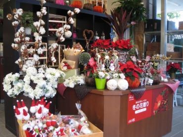 クリスマス商品入荷のお知らせ｜「京成フラワー」　（千葉県習志野市の花キューピット加盟店 花屋）のブログ